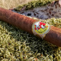 La Gloria Cubana